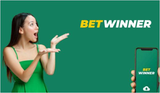 Everything You Need to Know About Casino Online