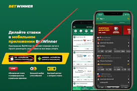 Everything You Need to Know About Casino Online